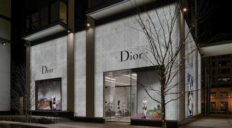 dior store washington